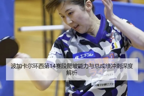 bo-jia-ka-er-huan-xi-di-sai-duan-pa-po-neng-li-yu-zong-cheng-ji-chong-ci-shen-du-jie-xi-2-175.jpg