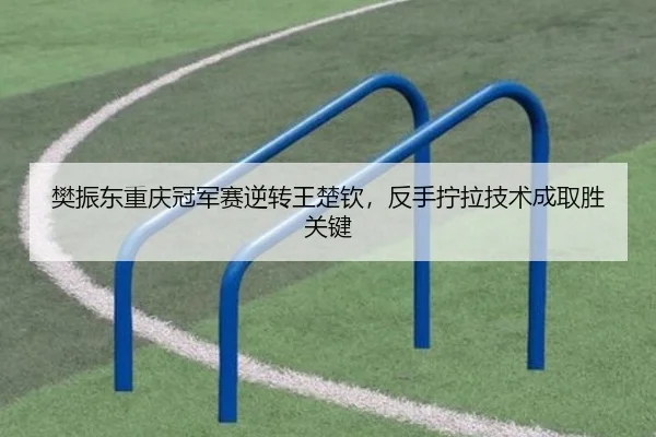 樊振东重庆冠军赛逆转王楚钦，反手拧拉技术成取胜关键