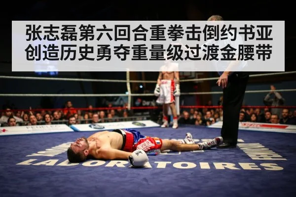 张志磊第六回合重拳击倒约书亚创造历史勇夺重量级过渡金腰带