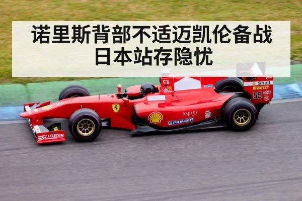 诺里斯背部不适迈凯伦备战日本站存隐忧